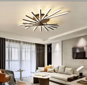 Led Indoor Ceiling Light