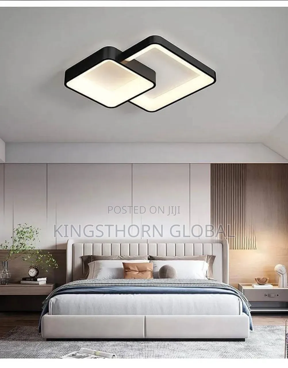 Modern Luxury LED Ceiling Light
