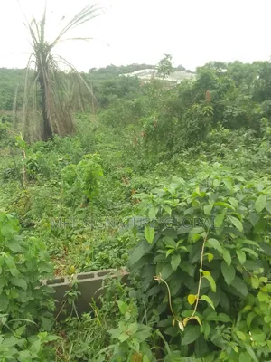 6 Plot of Land