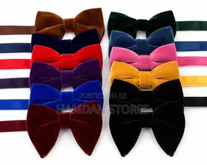 Butterfly Bow Tie