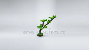 Unique Bonsai Tree With Elegant Artistic Design