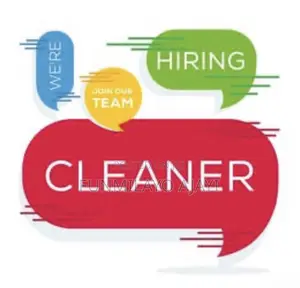 Cleaning Job