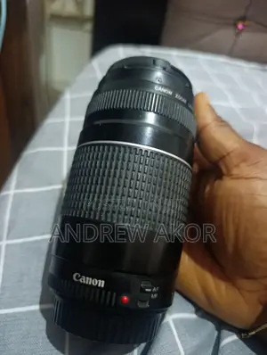 Canon Lens (75-300mm)