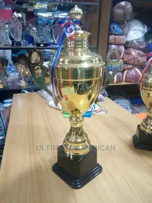 Big Size Chinese Trophy