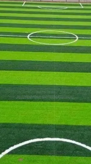 Quality Football Pitch Standard Grass