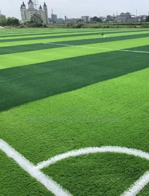 Foot Ball Pitch Turf Grass
