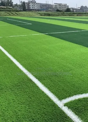 Professional Pitch Artificial Turf Grass