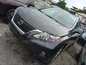 Lexus RX 2010 Gray