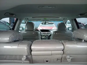 Lexus RX 2010 Gray