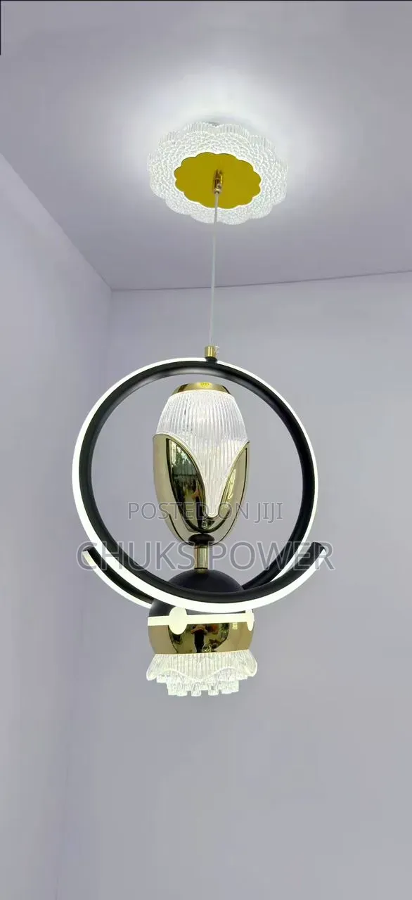 Modern LED Pendant Light 