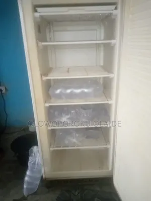 Standing Freezer