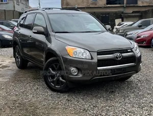 Toyota RAV4 2010 Brown