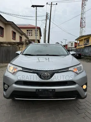 Toyota RAV4 XLE 4dr SUV AWD (2.5L 4cyl 6A) 2018 Gray