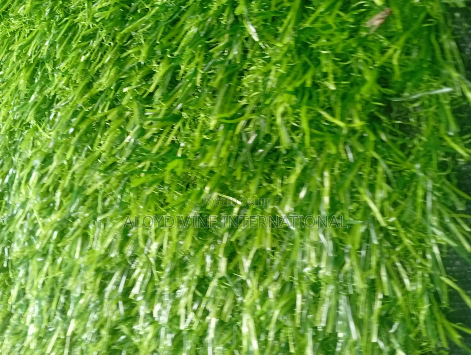Super Standard Artificial Grass