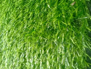 Super Standard Artificial Grass