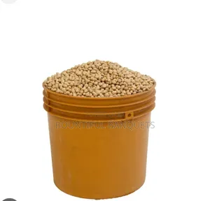 Honey Beans (1 Paint)