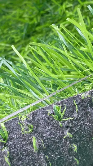 High Quality Grass Carpet