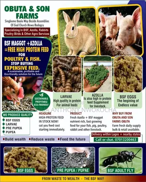 Obuta and Sons Farm