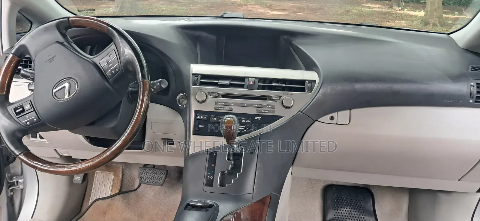 Lexus RX 2010 Silver