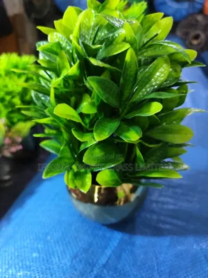 Artificial Cup Flowers . Available in Bulk.