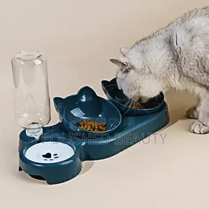 3-in-1 Automatic Cat Water Feeder and Tilted Food Bowl Set