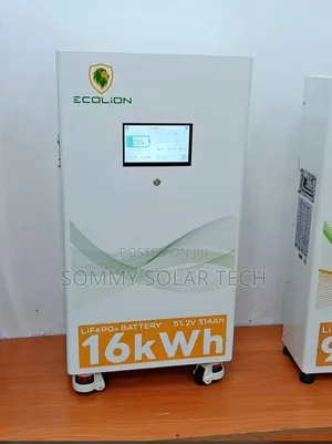 Ecolion Lithium Ion Battery 16kwh 48v