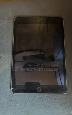 Apple iPad mini 5 64 GB Gray