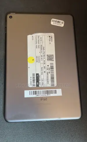 Apple iPad mini 5 64 GB Gray