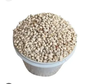 White Beans 1 Paint