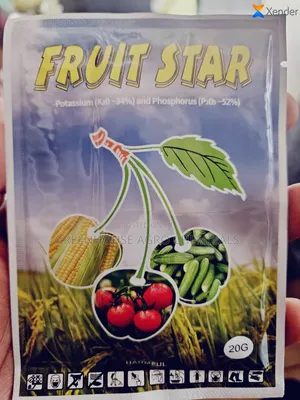 Fruit Star