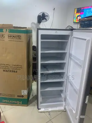 Hisense Upright Freezer for Ice Block Ingredients