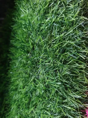 Artificial Grass 15mm