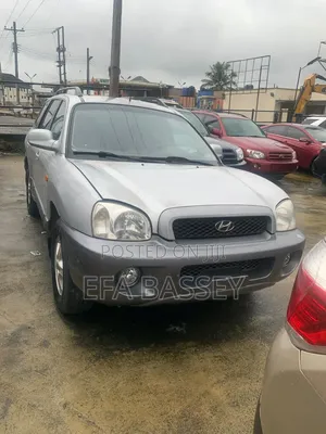 Hyundai Santa Fe 2002 Silver