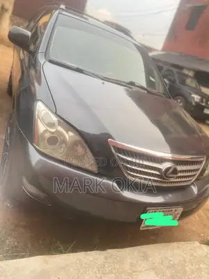 Lexus RX 2007 Gray