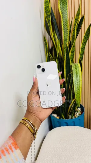 Apple iPhone 13 128 GB