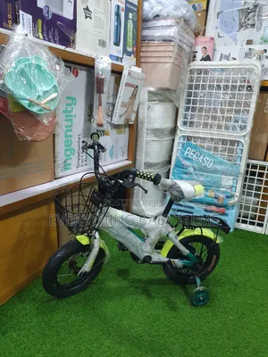 Bicycle Size 12