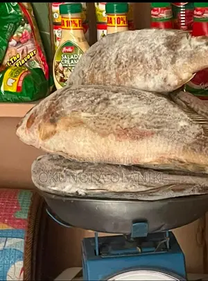 Fresh Frozen Fish 5kg