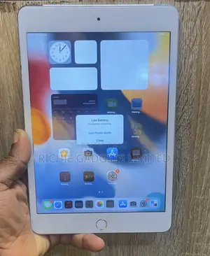Apple iPad mini 4 128 GB Gray