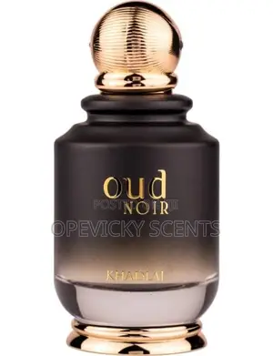 Oud Noir Perfume