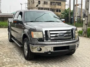 Ford F-150 XLT 2013 Gray
