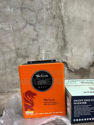 Welion 6.2kva Inverter