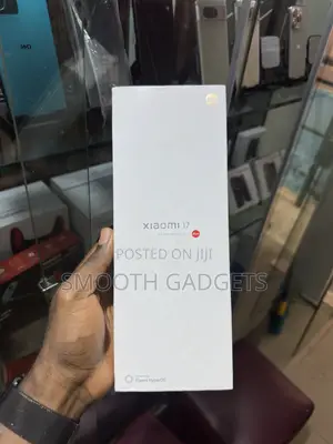 Xiaomi 17 256 GB Gray