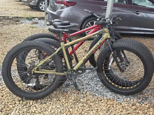 Mountain Bicycles