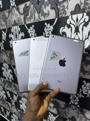 Apple iPad mini 2 16 GB Gray