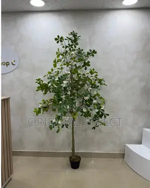 Artificial White Exotica Tree 185cm | Indoor Plant Nigeria