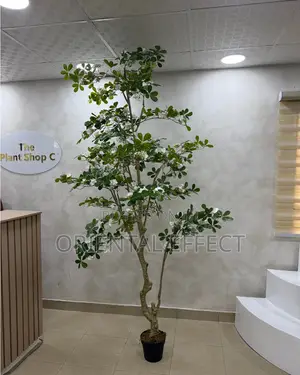 Artificial White Exotica Tree 250cm | Artificial Plant Nigeria