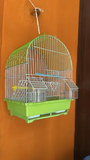Bird Cage for Parrots Small Birds – Durable Spacious
