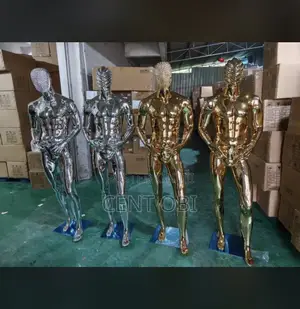 Gold Nd Sliver Chrome Mannequin