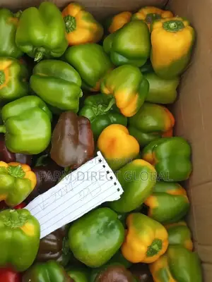 Bell Pepper