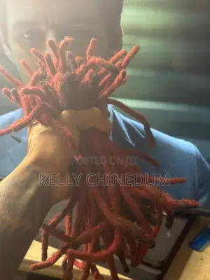 Locs for Sale It’s Red but Can Be Changed to Any Color, 55pieces